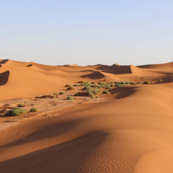 Erg Chegaga - Morocco - Sahara - Golden Sand