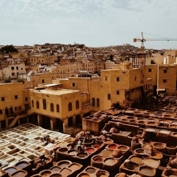 Fes - Morocco - Medina - Local Leather - colors - Handicraft