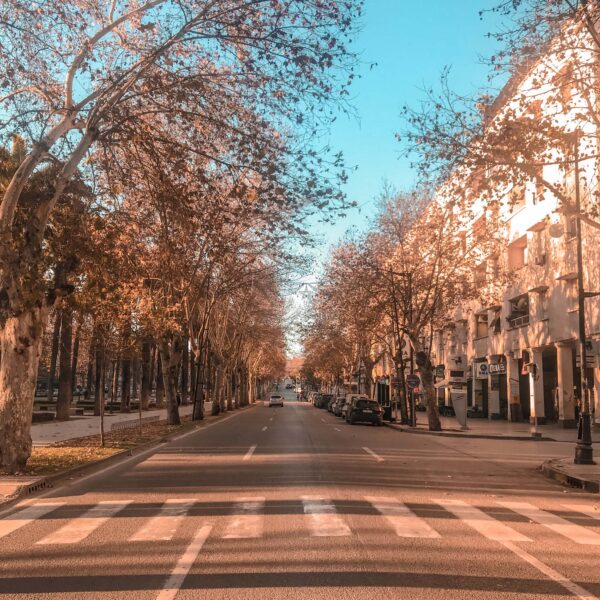 Ifran - Morocco - Houses - Trees - Road