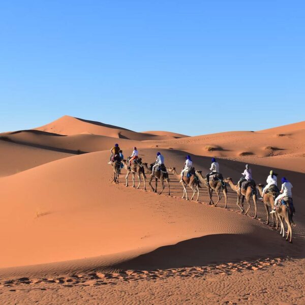 Erg Chegaga - Morocco - Sahara - Golden Sand