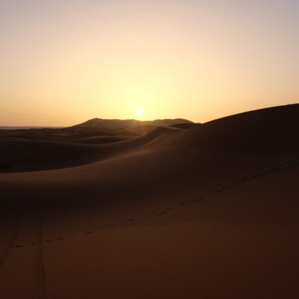 Erfoud - Morocco - Sahara desert - Sunset - Golden sand